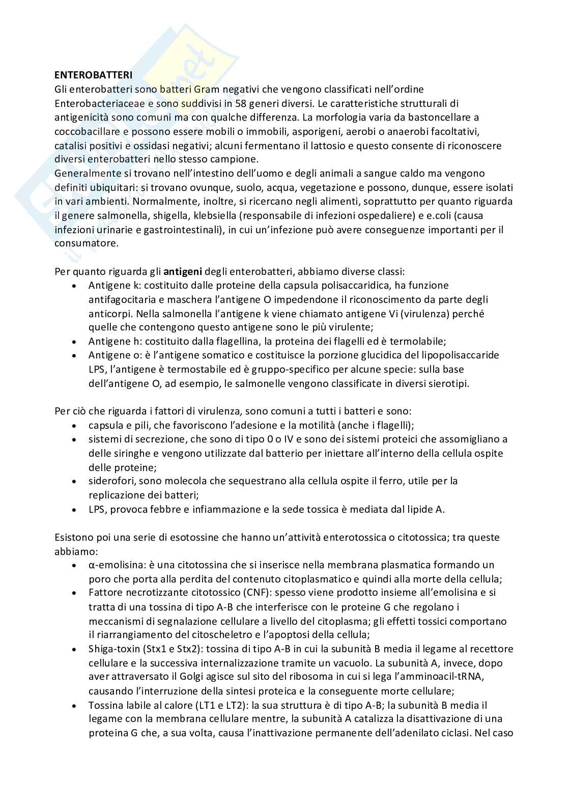 Microbiologia e microbiologia clinica - parte 2 Pag. 81