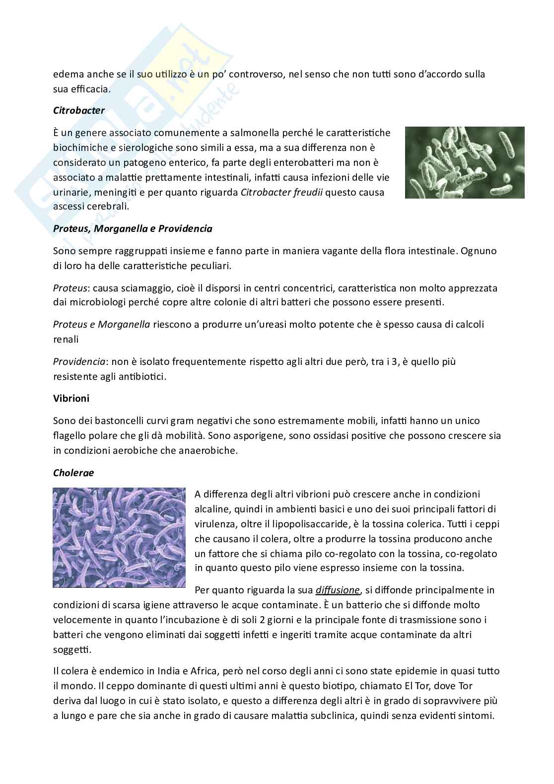 Microbiologia e microbiologia clinica - parte 2 Pag. 86