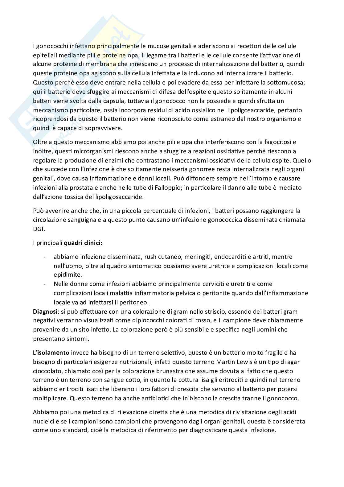 Microbiologia e microbiologia clinica - parte 2 Pag. 91