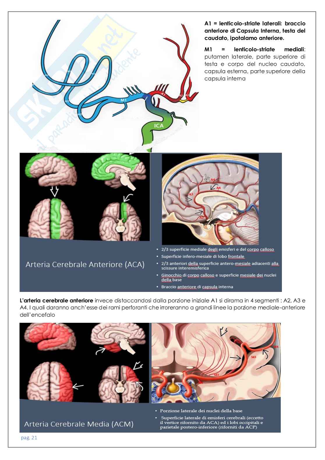 Neuroradiologia tc Pag. 21
