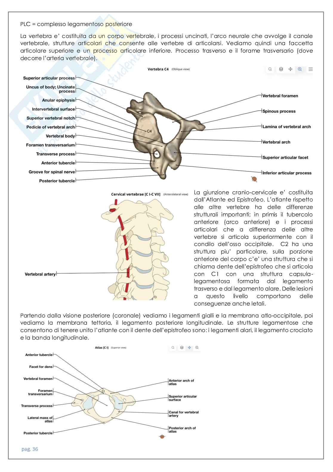 Neuroradiologia tc Pag. 36