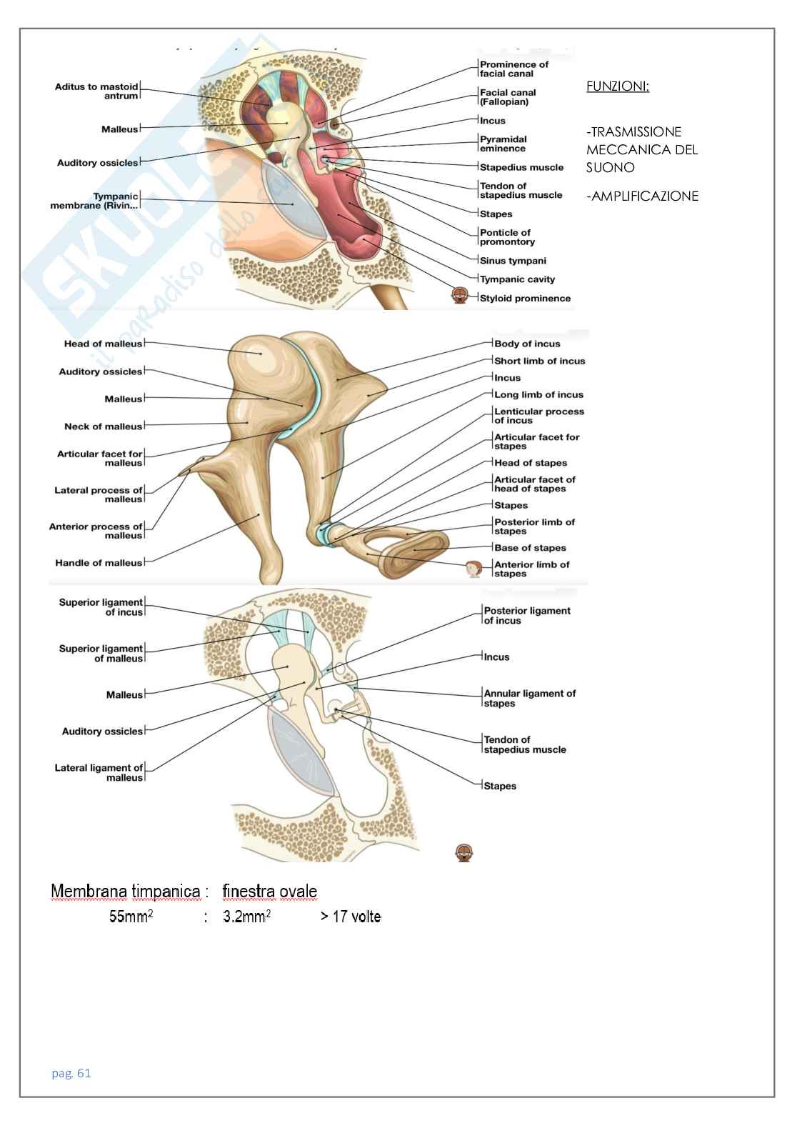 Neuroradiologia tc Pag. 61