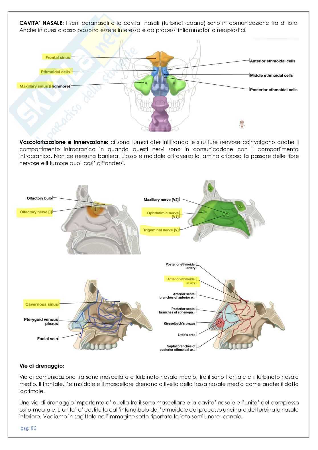 Neuroradiologia tc Pag. 86