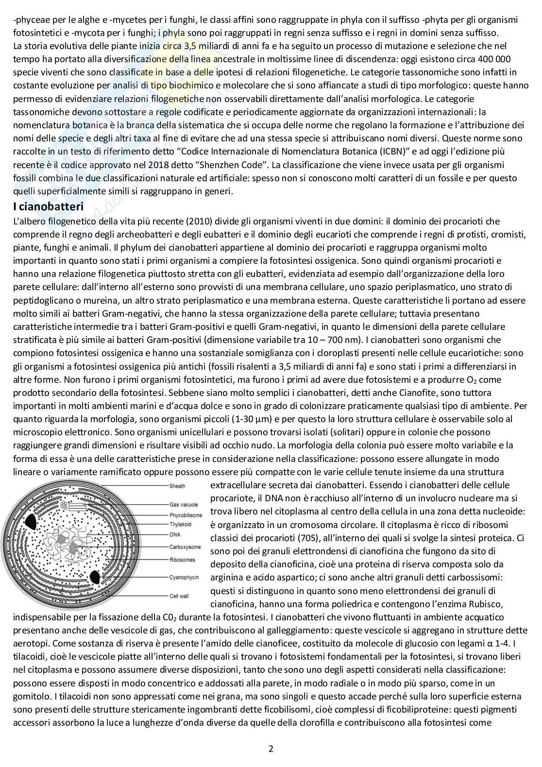 Botanica sistematica - Appunti completi d'esame Pag. 2