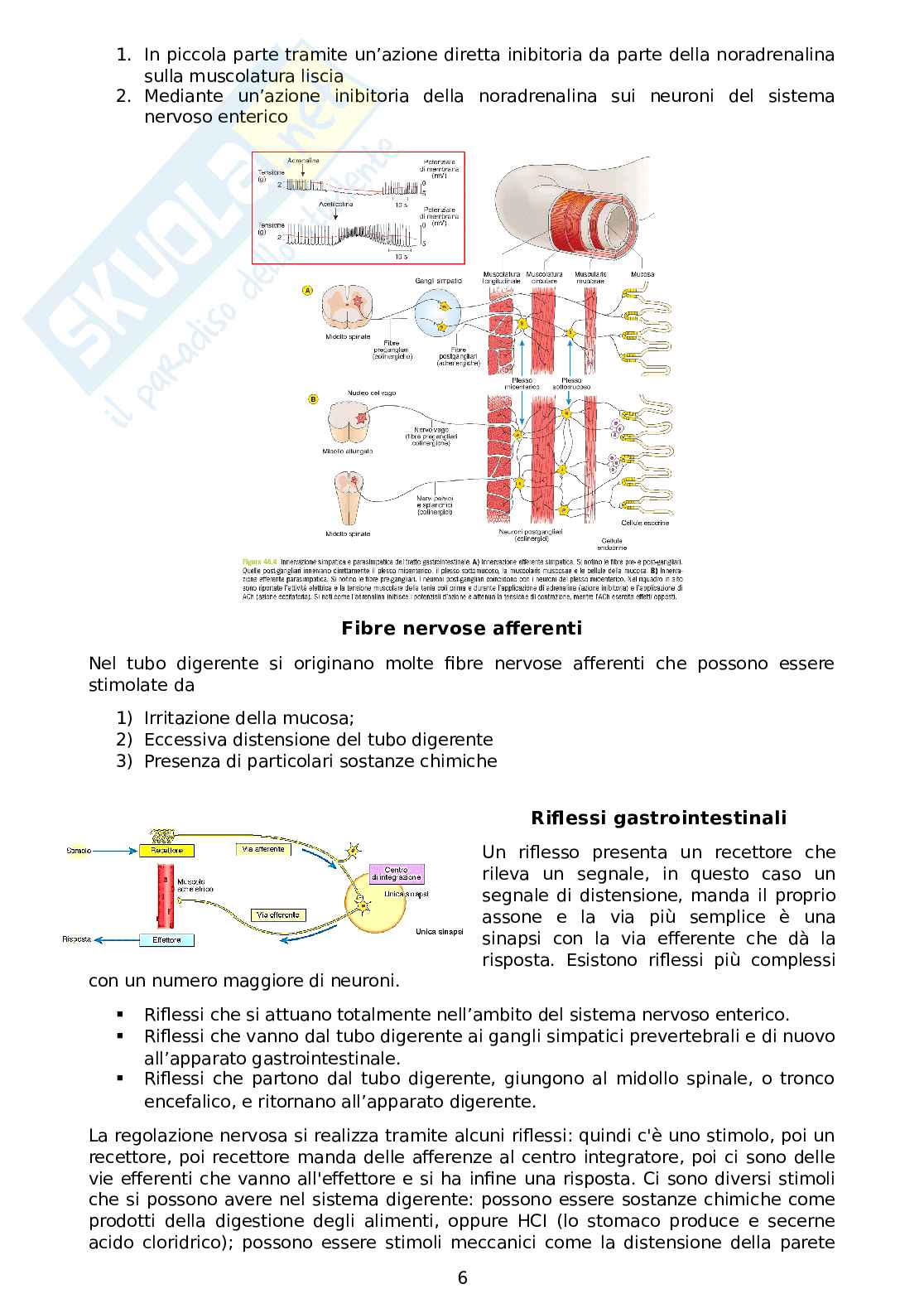Fisiologia della nutrizione Pag. 6