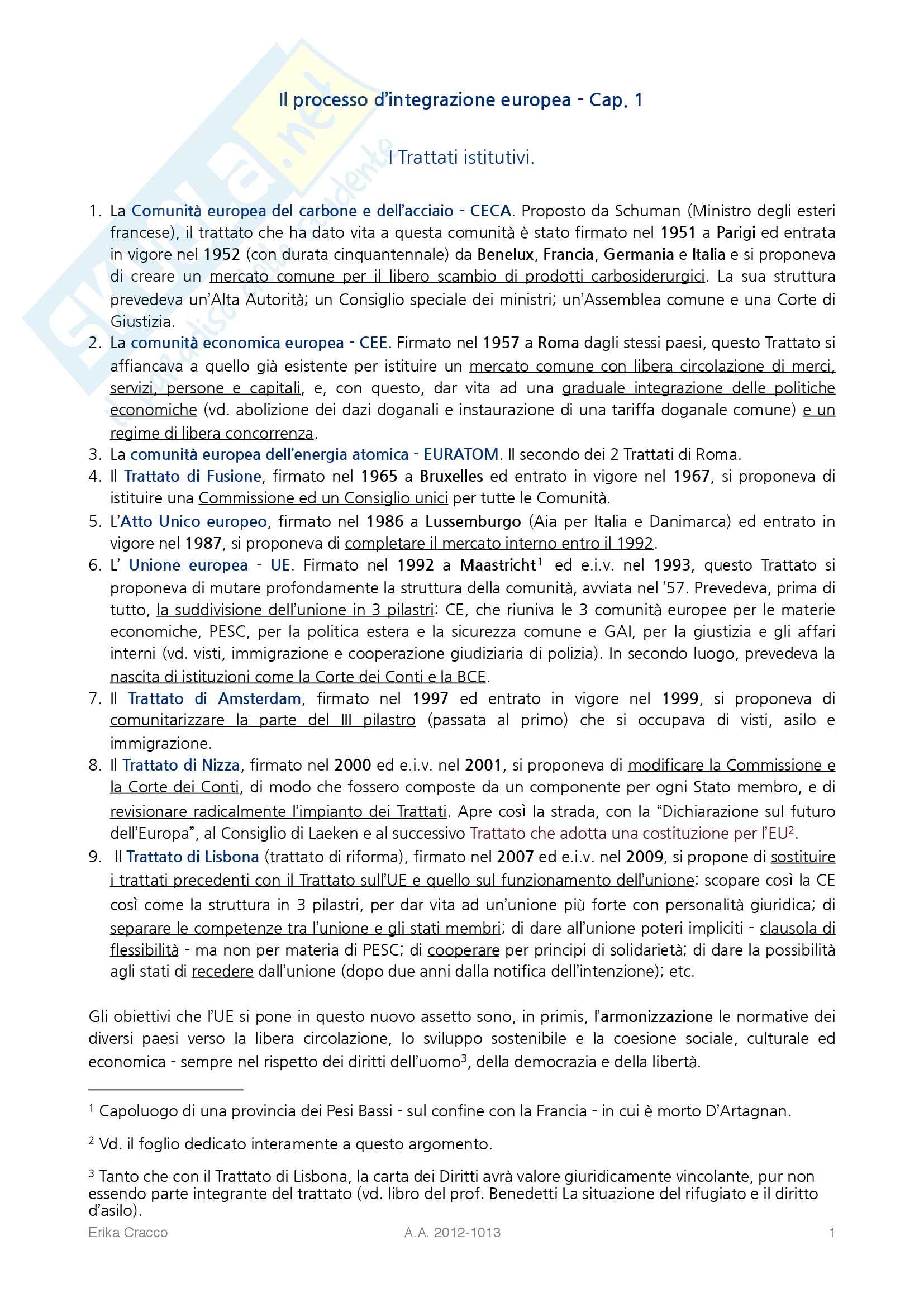 Riassunto esame Diritto dell'Unione Europea, prof.