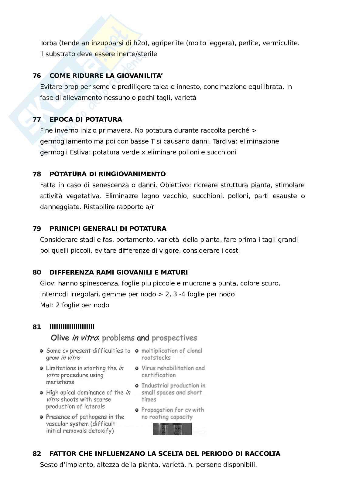 Domande e risposte Olivicoltura primo parziale Pag. 16