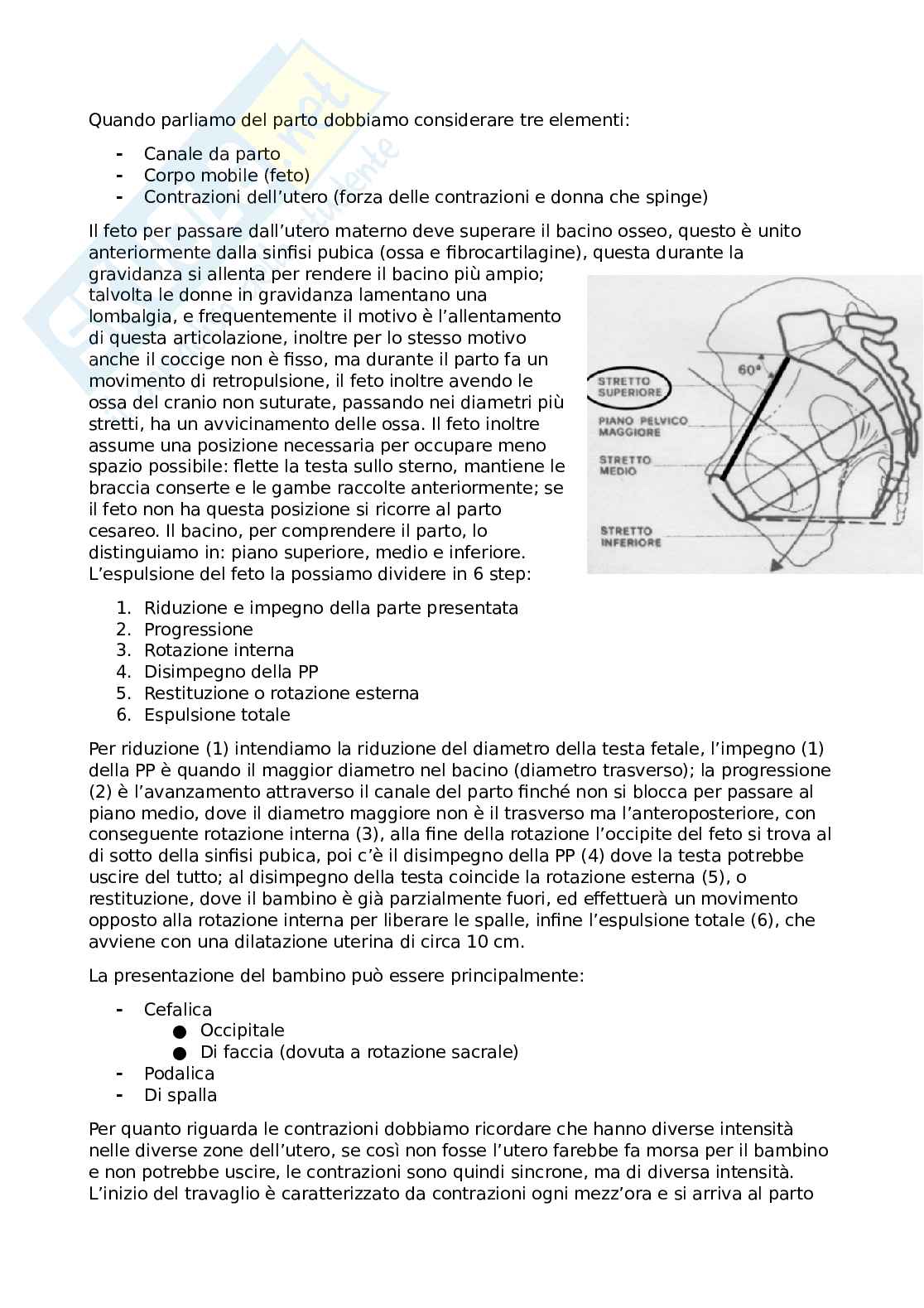 Ginecologia e ostetricia base Pag. 2