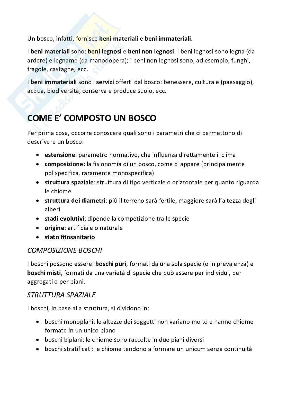 Appunti Selvicoltura generale Pag. 2