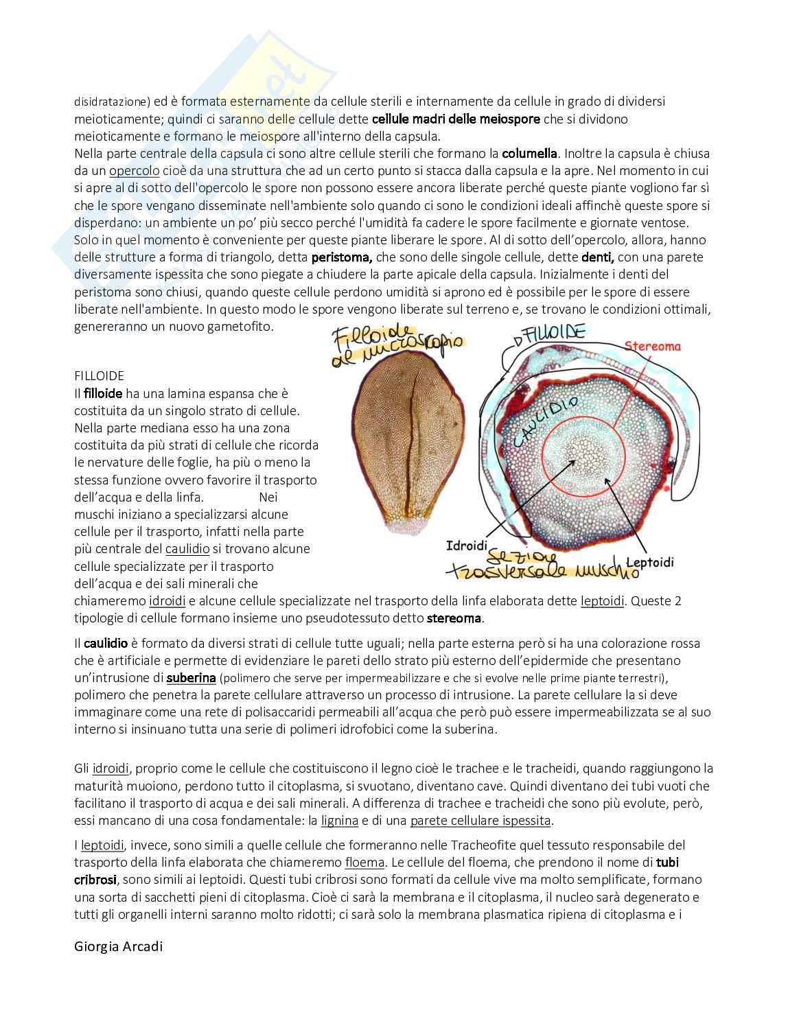 Botanica sistematica Pag. 21