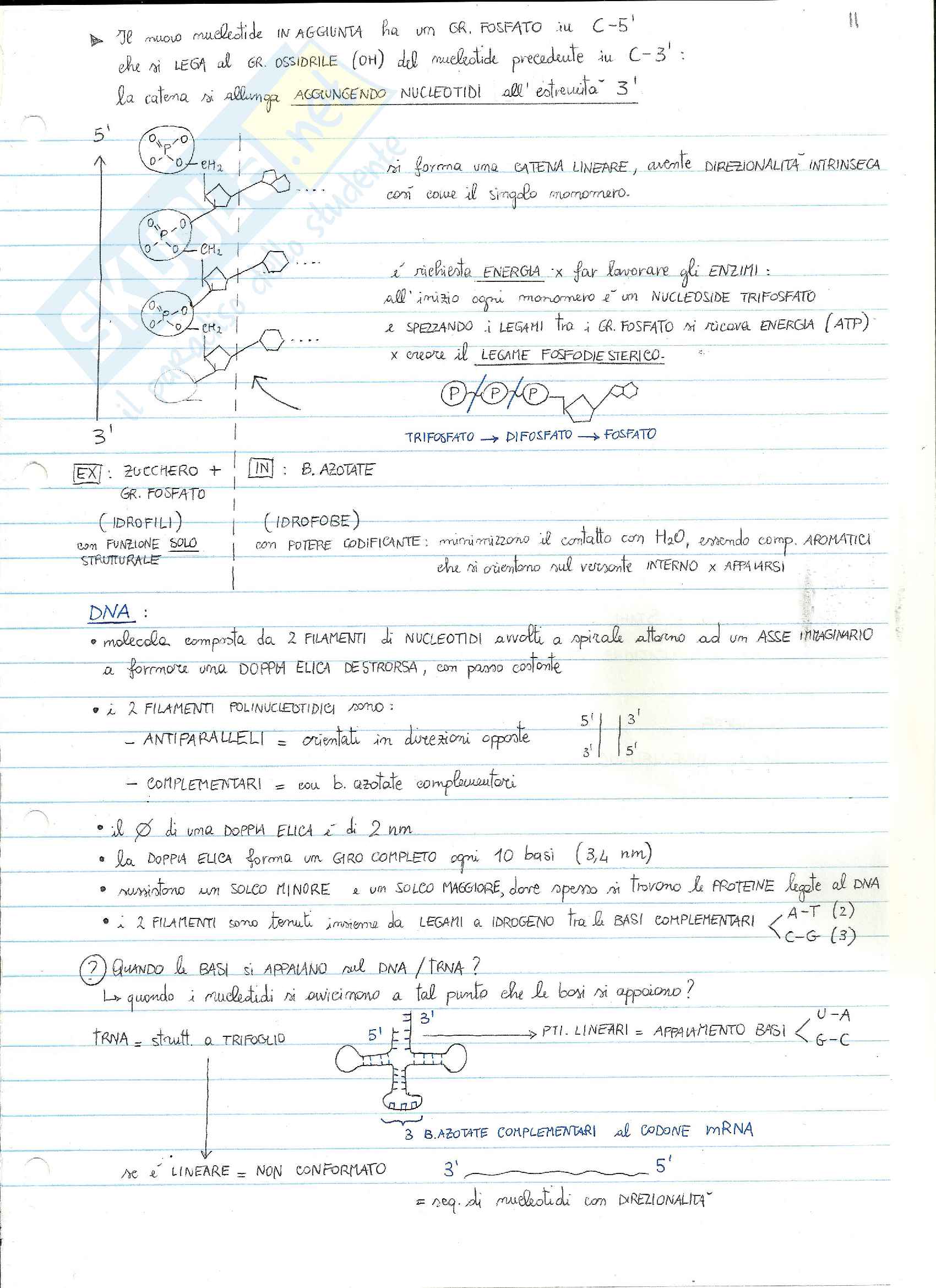 Citologia I Pag. 11