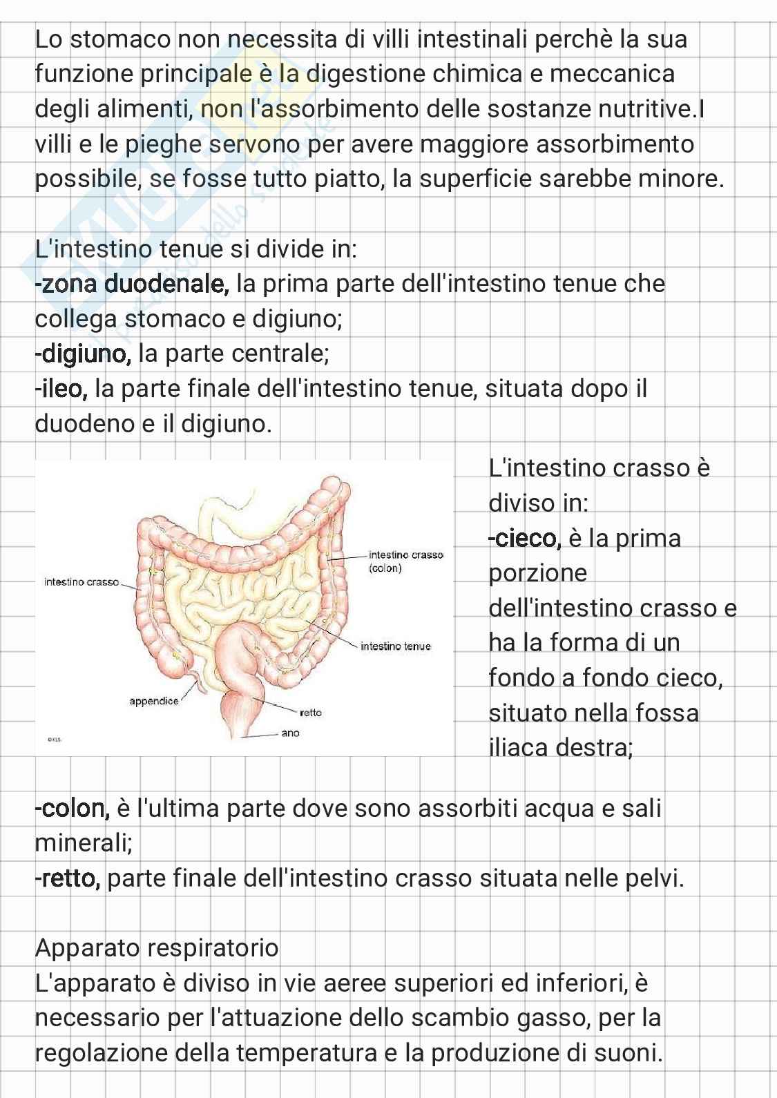 Anatomia - parte 1 Pag. 11