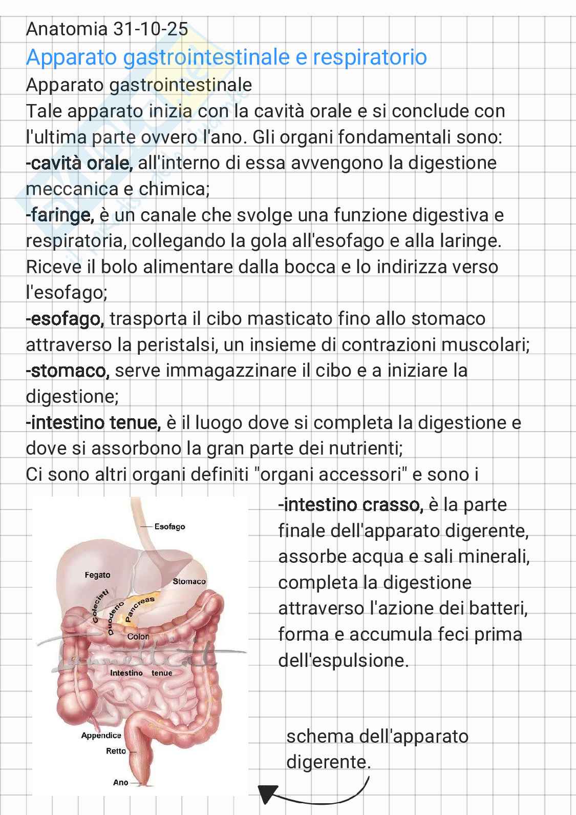 Anatomia - parte 1 Pag. 6