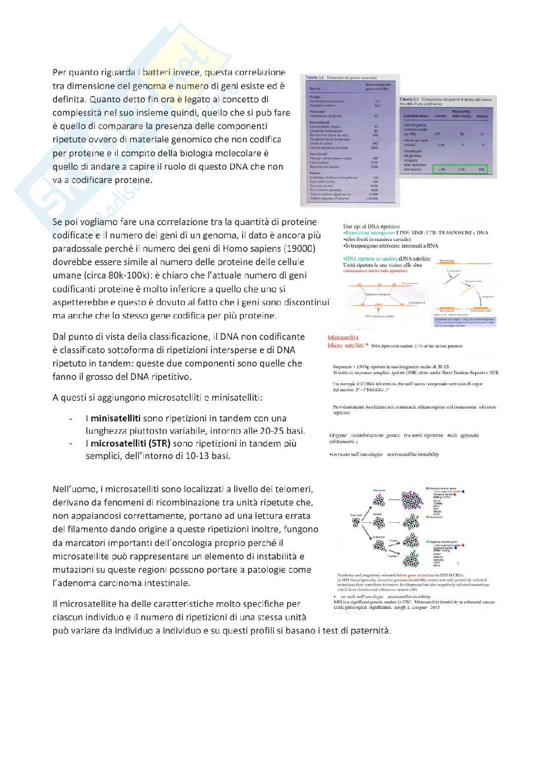 Genoma e struttura  Pag. 1