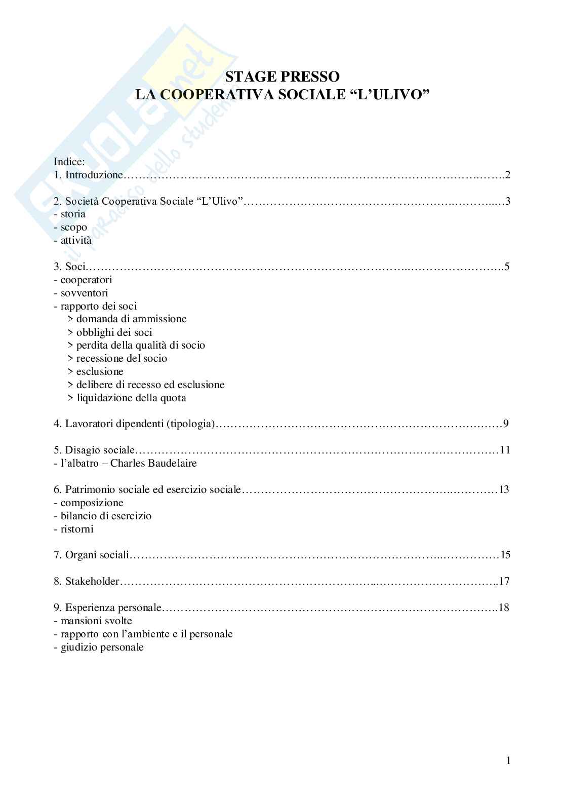 ESPERIENZA DI STAGE PRESSO UNA COOPERATIVA SOCIALE Pag. 2