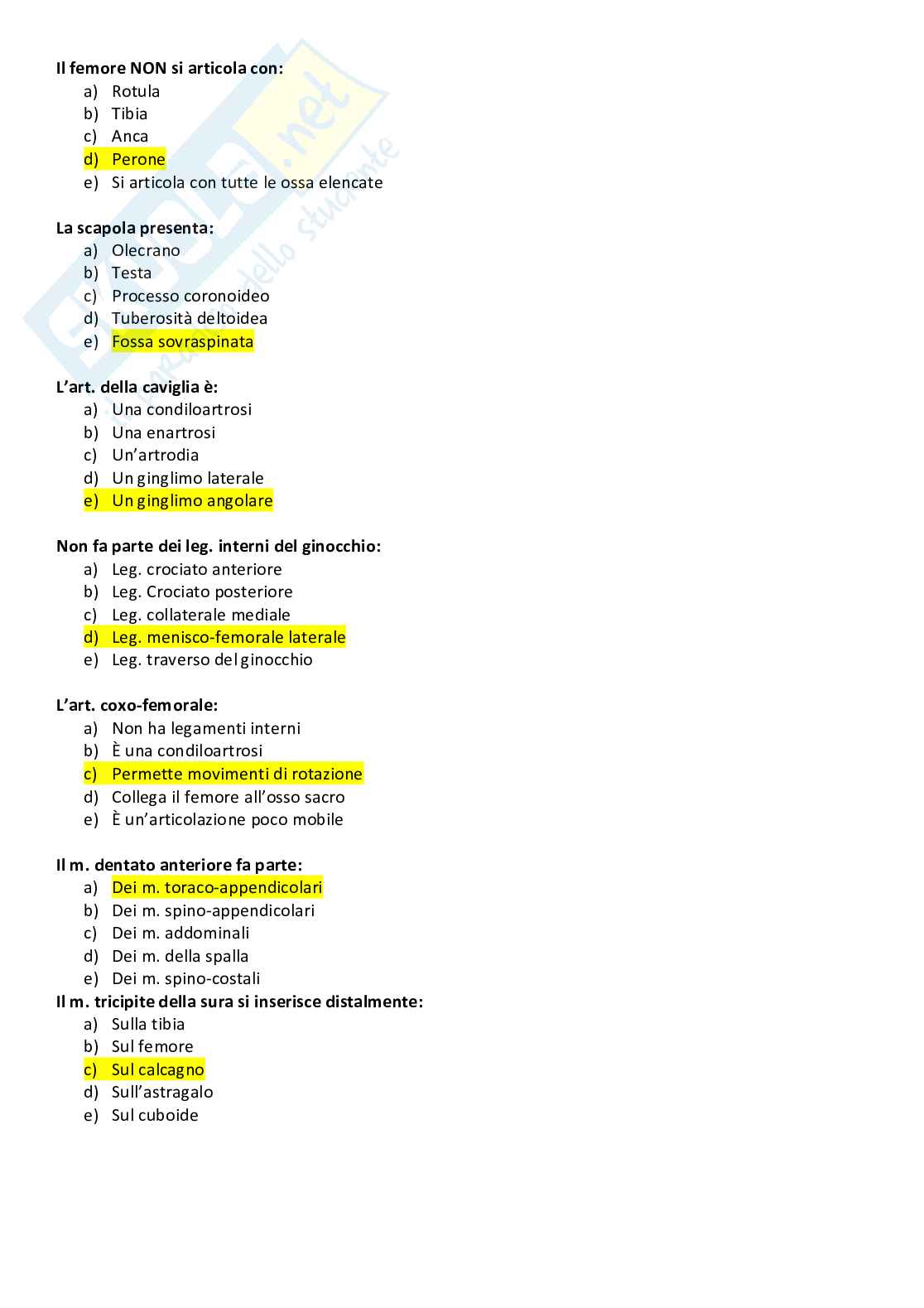 Anatomia Pag. 6