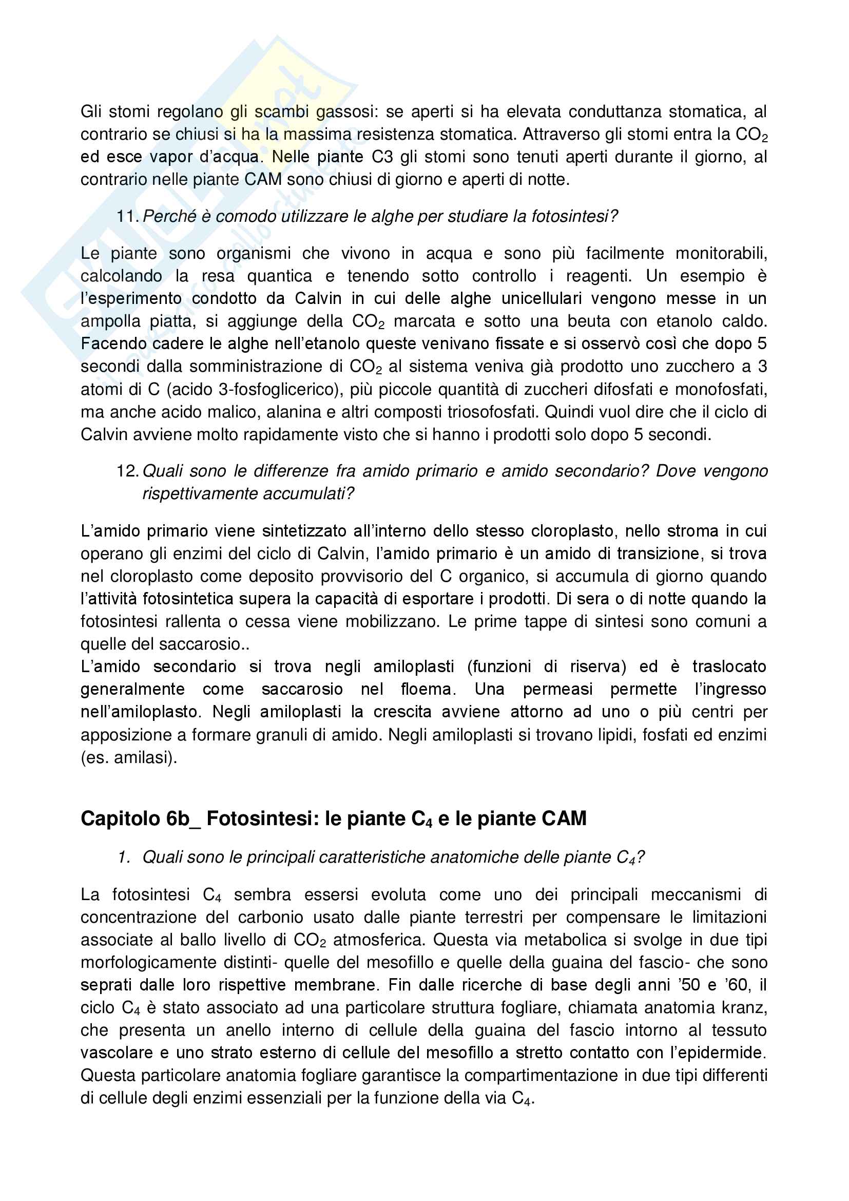Risposte alle domande Fisiologia vegetale Pag. 56