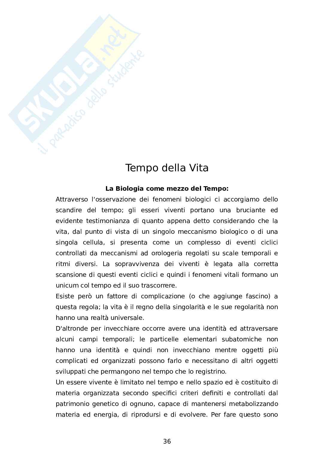 Tesina sulla Concezione del Tempo Pag. 36