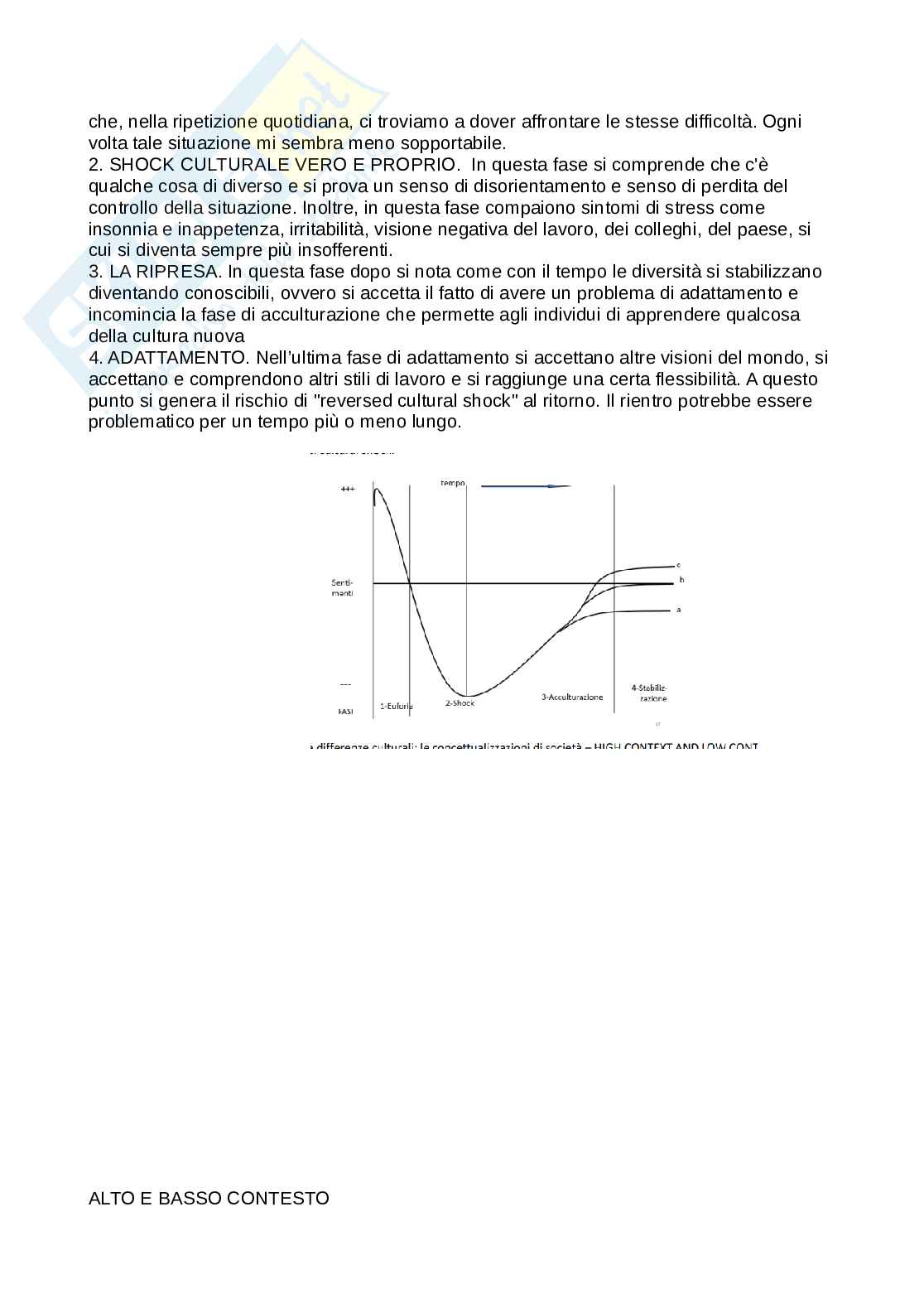 Processi organizzativi interculturali Pag. 11