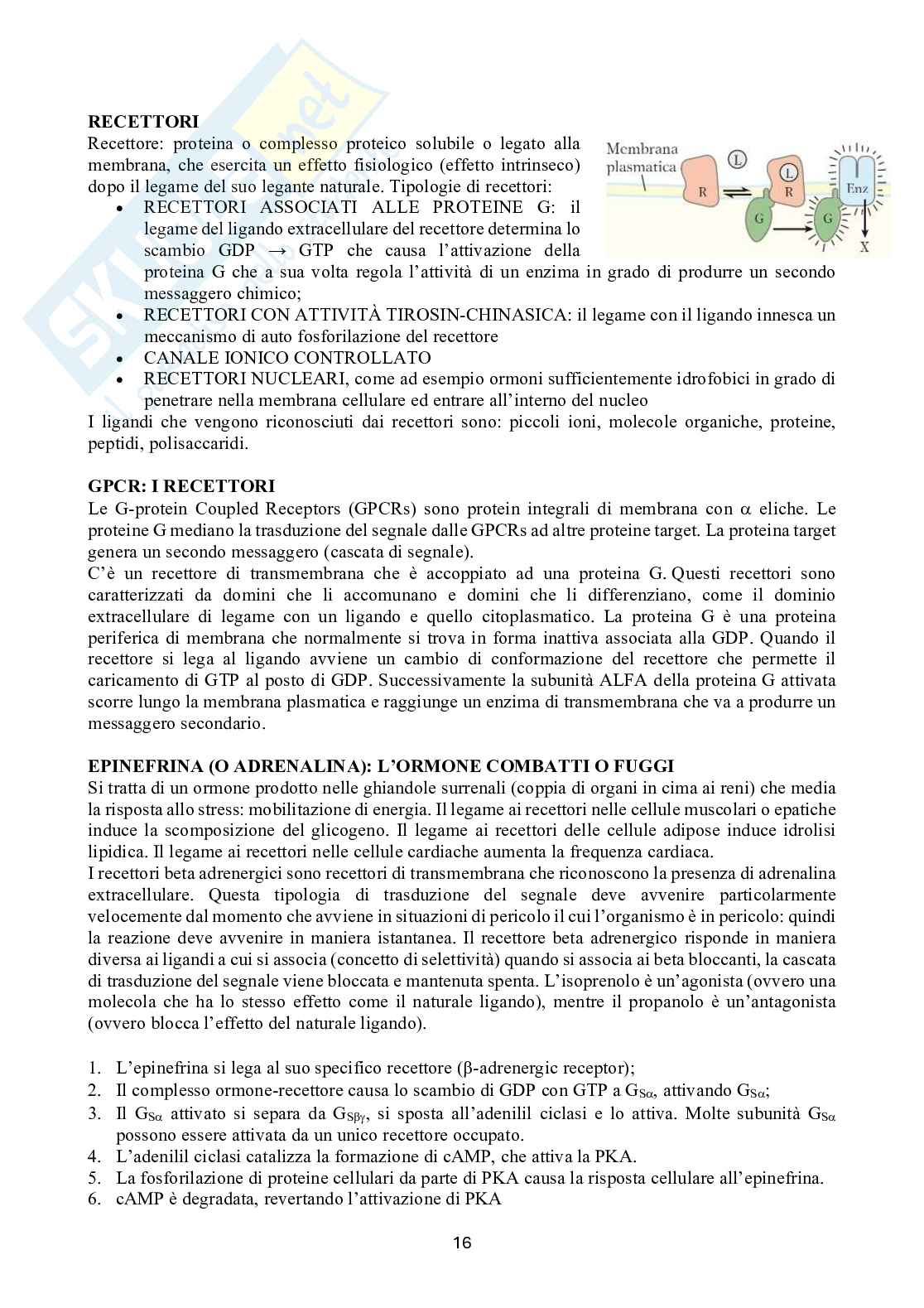 Biochimica 2 Pag. 16