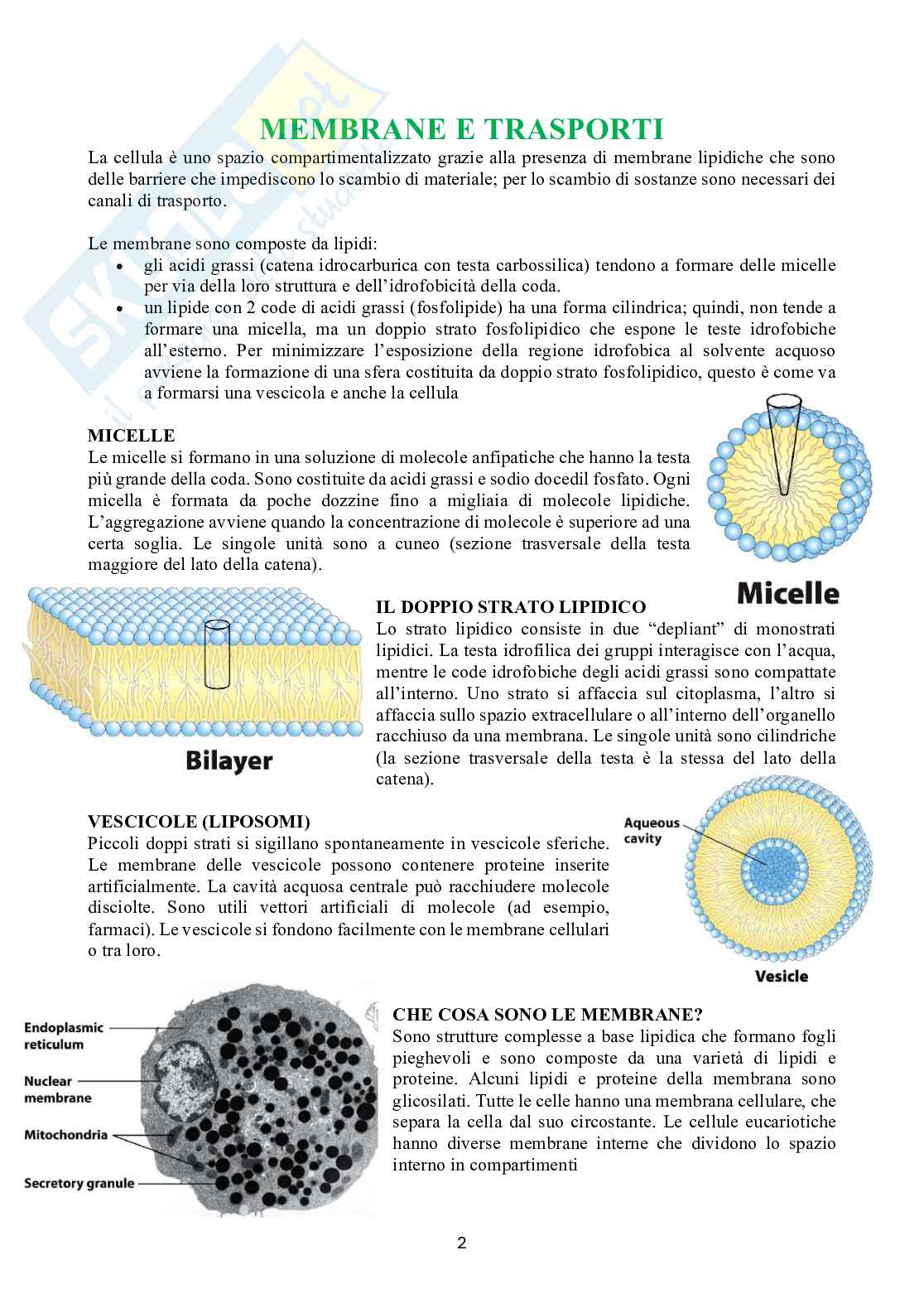 Biochimica 2 Pag. 2