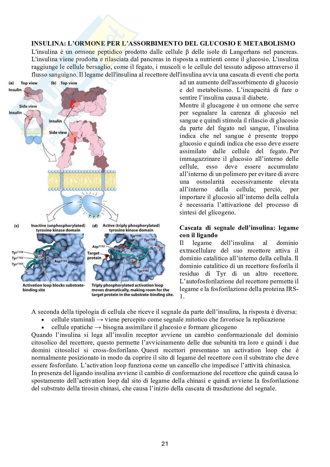 Biochimica 2 Pag. 21