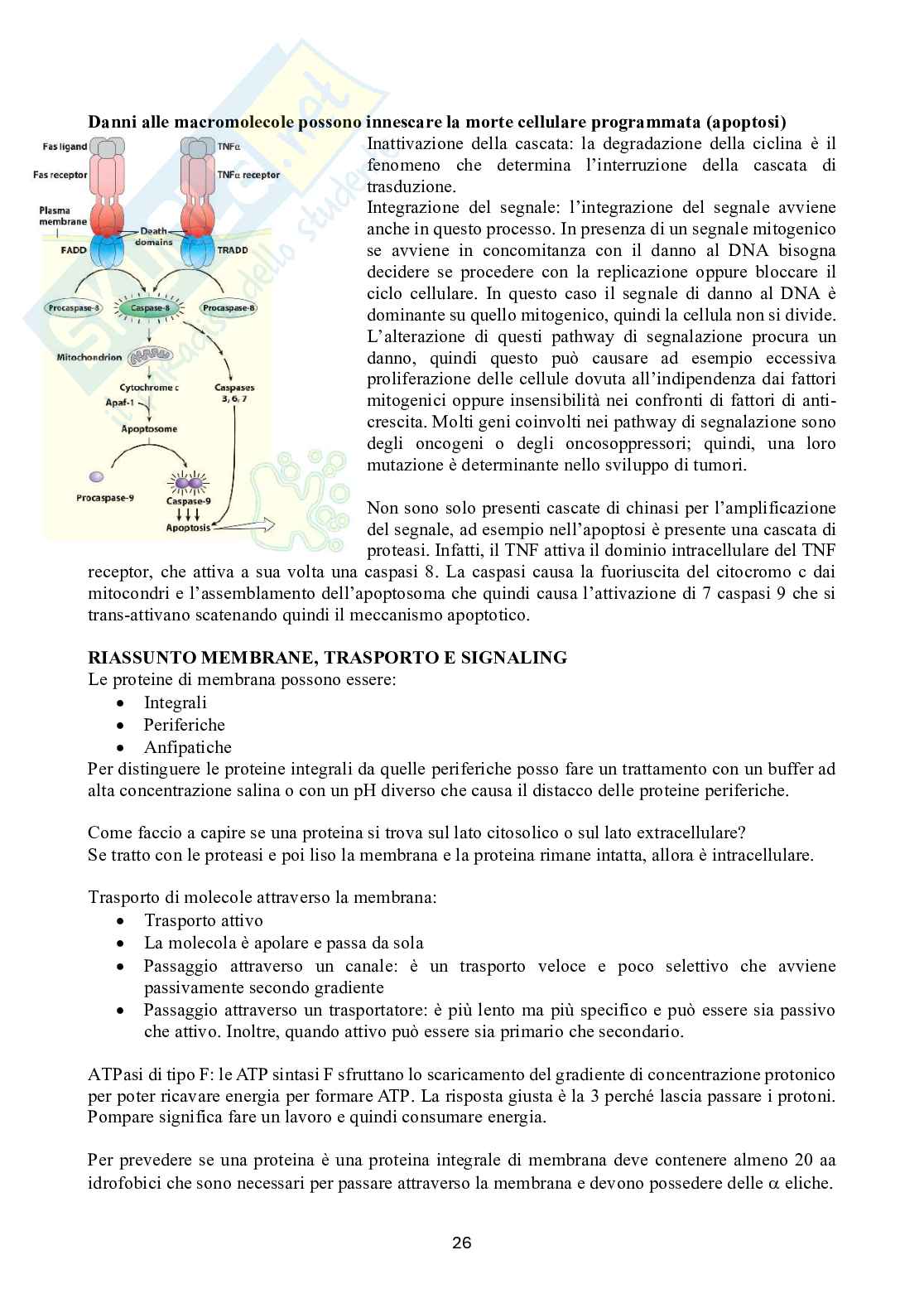 Biochimica 2 Pag. 26