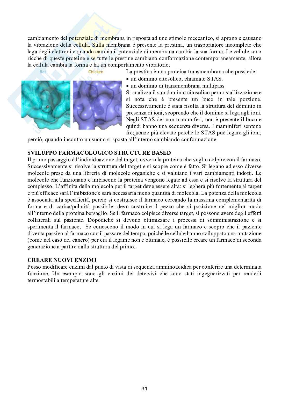Biochimica 2 Pag. 31