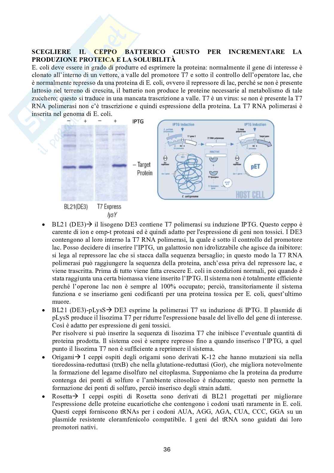 Biochimica 2 Pag. 36