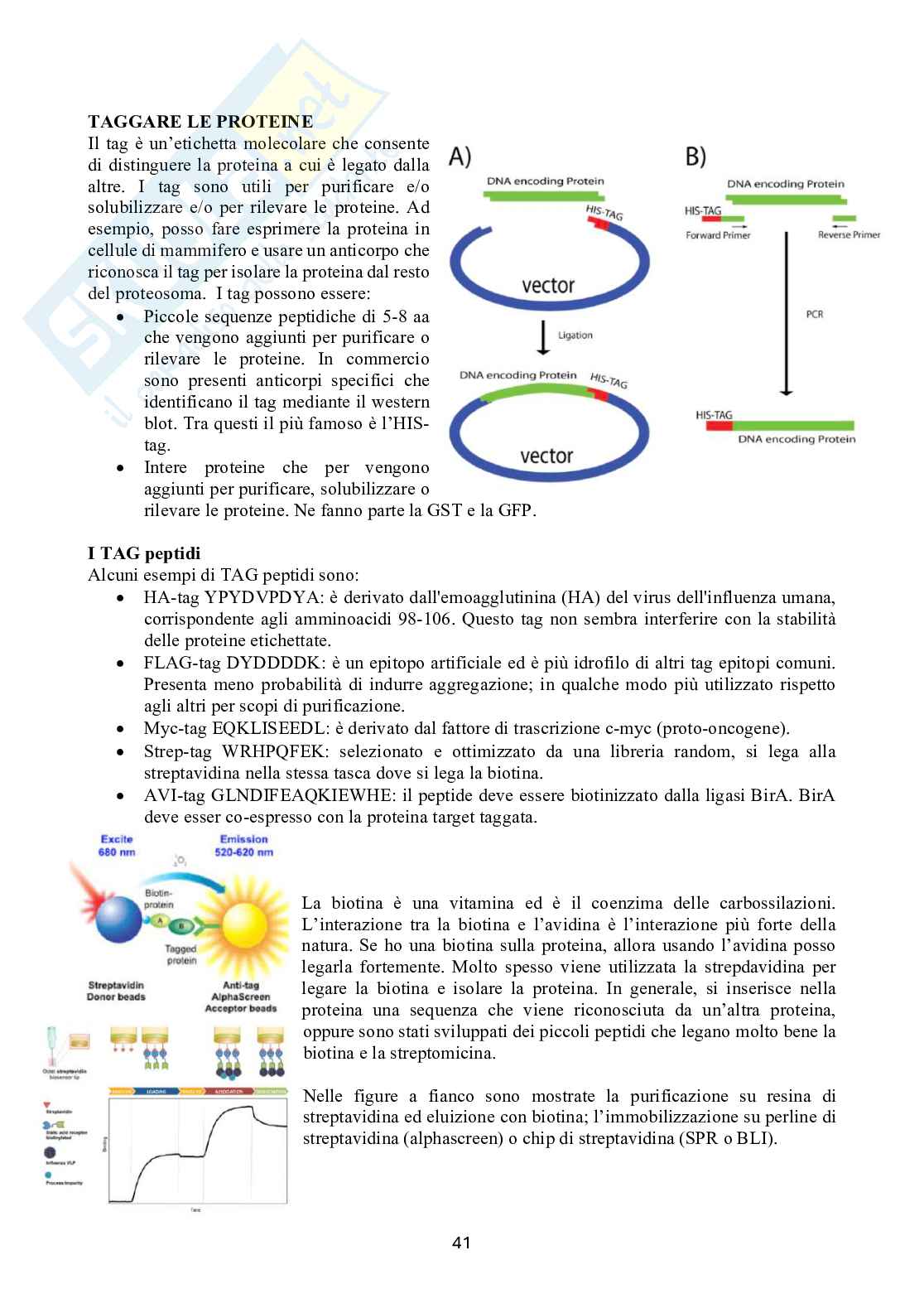 Biochimica 2 Pag. 41