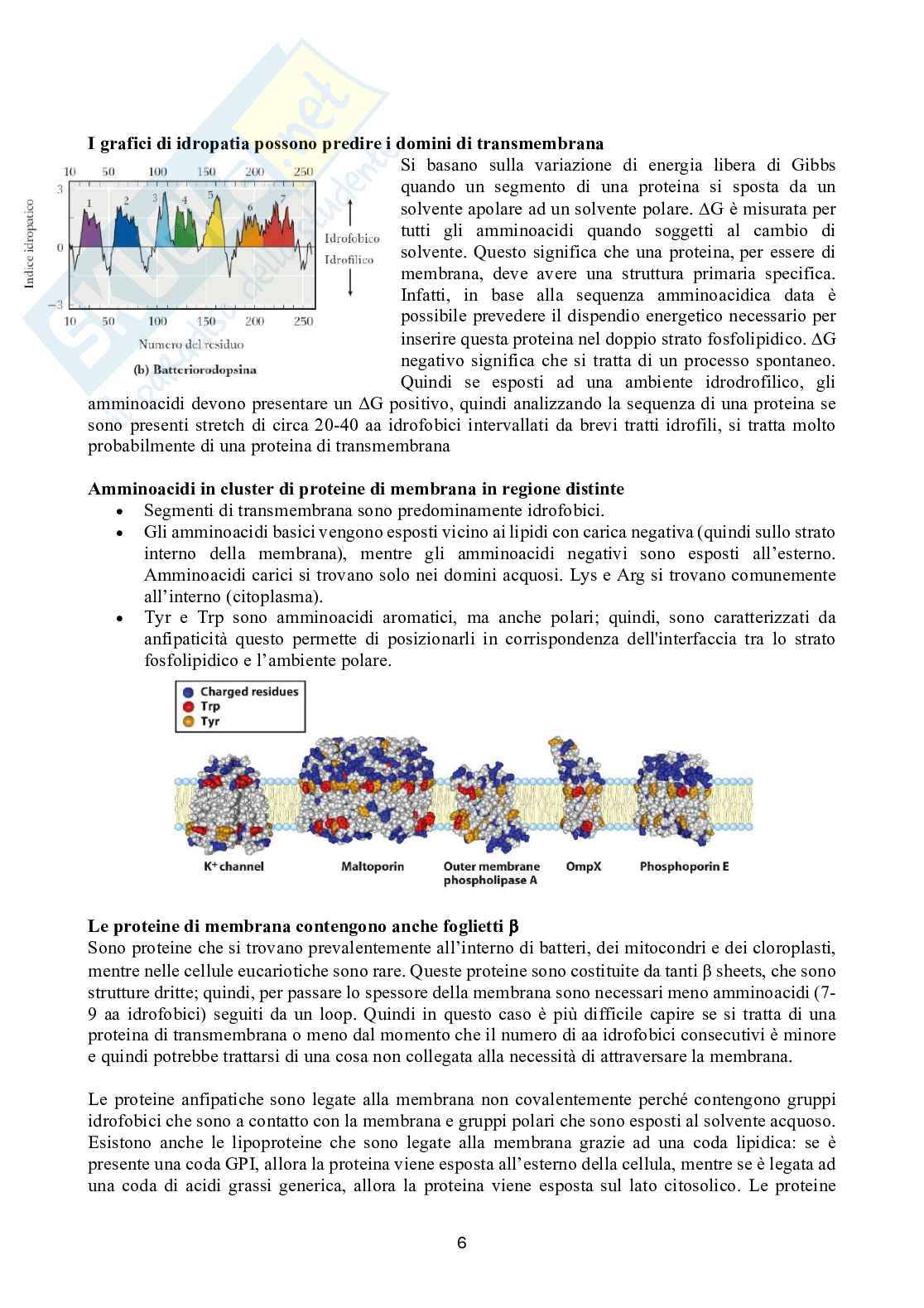 Biochimica 2 Pag. 6