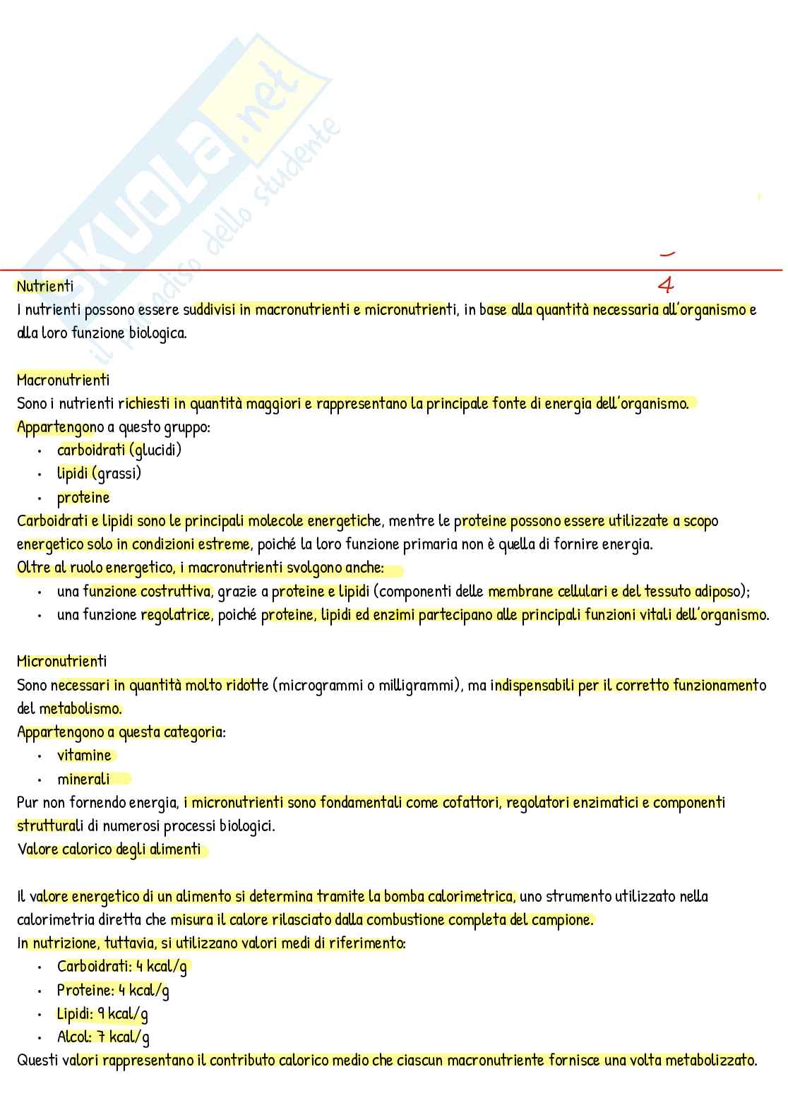 Appunti di Nutrizione umana 3 Pag. 1