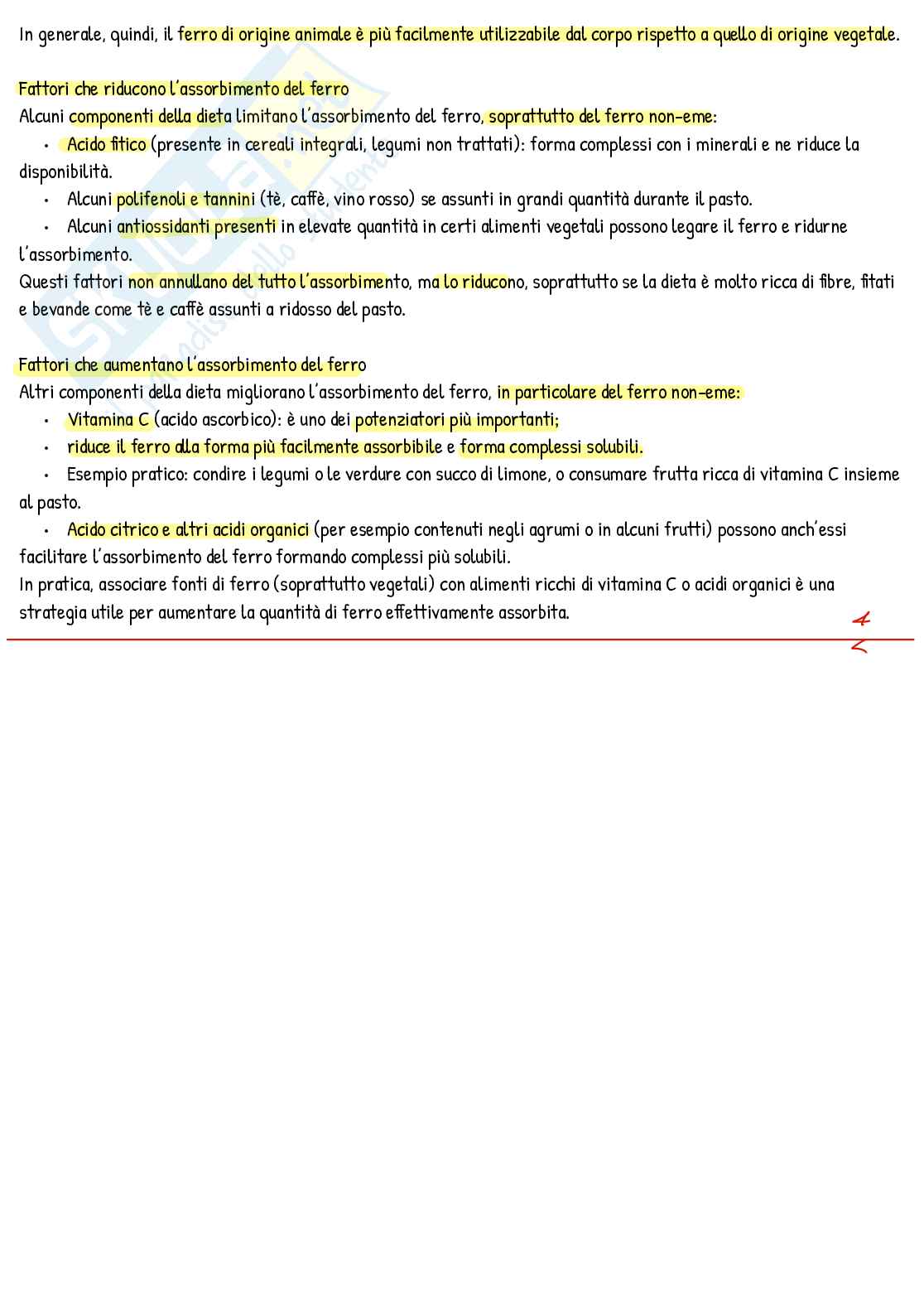 Appunti di Nutrizione umana 3 Pag. 16