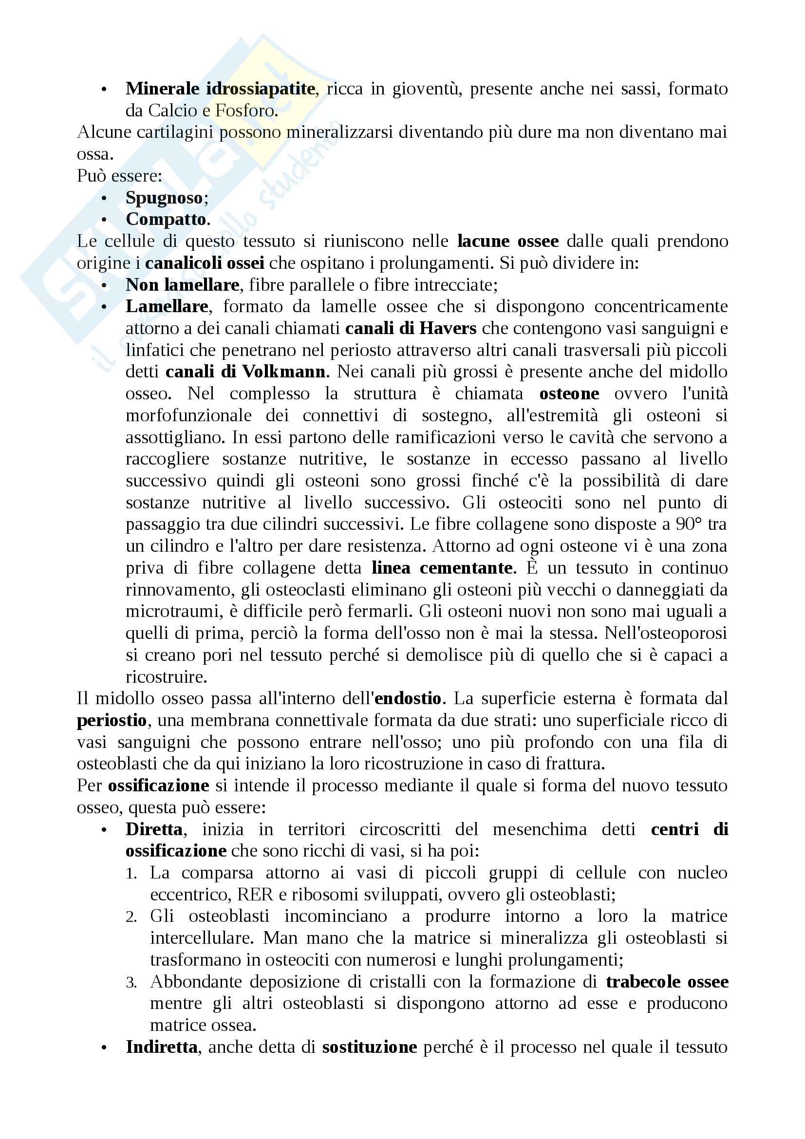 Anatomia animale Pag. 16