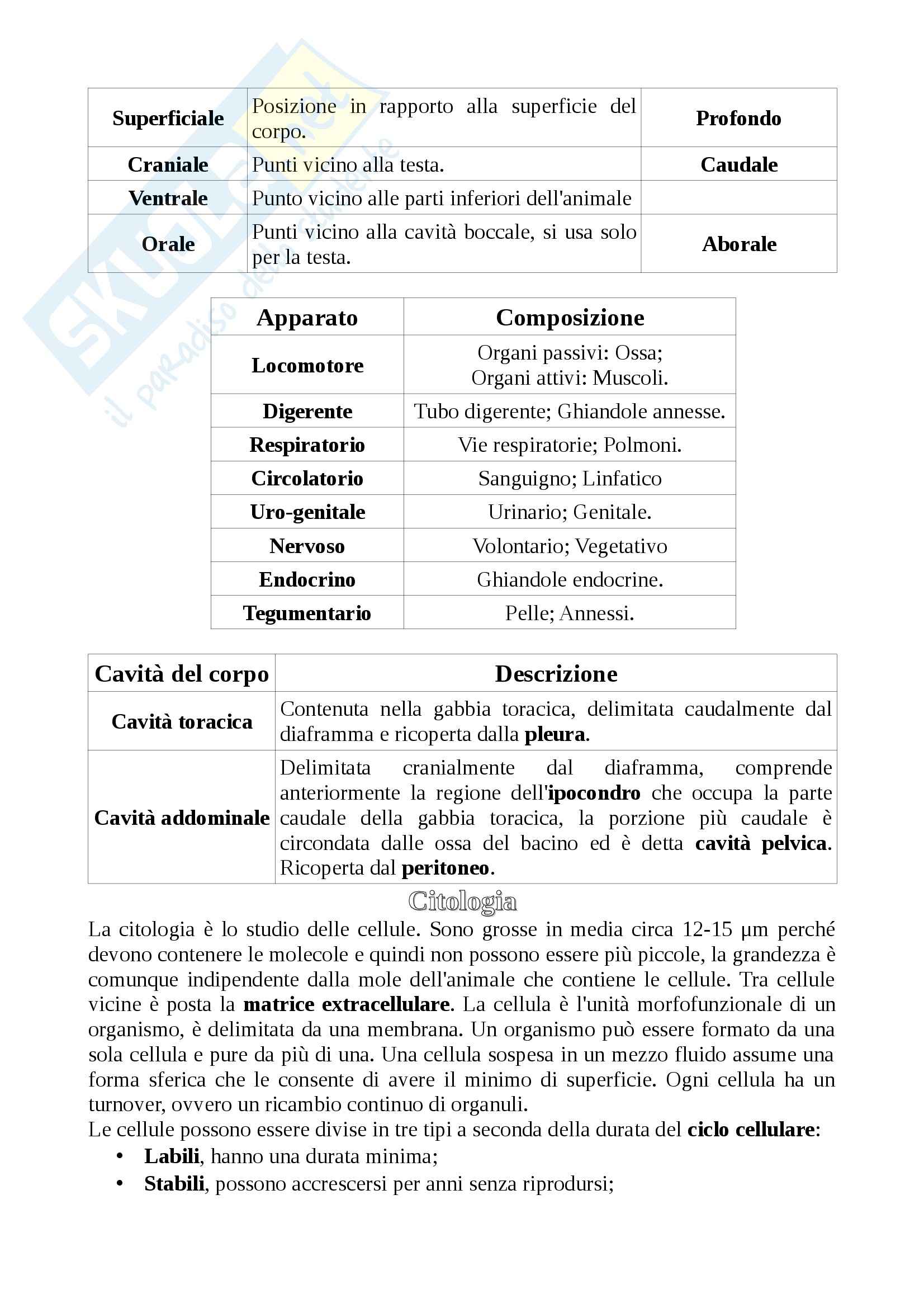 Anatomia animale Pag. 6