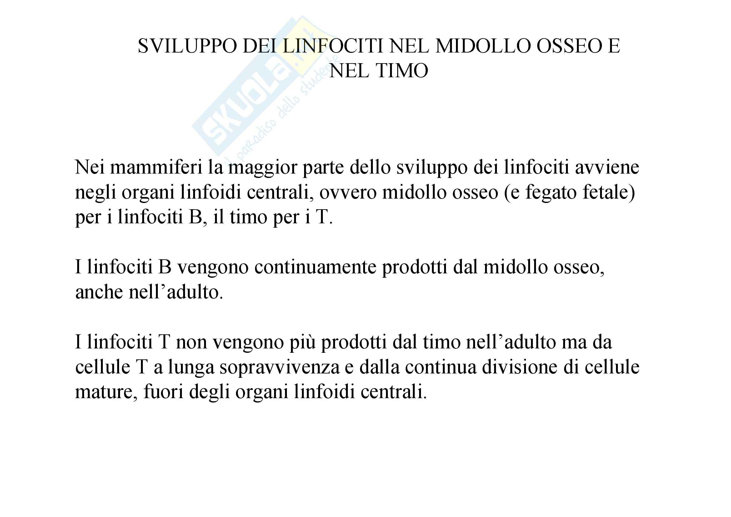 Immunologia - sviluppo e sopravvivenza dei linfociti Pag. 6