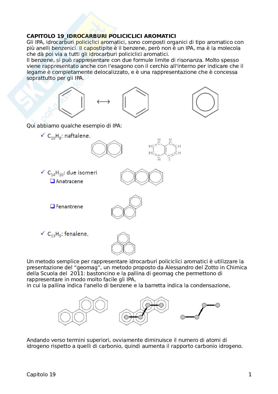 Ipa Pag. 1