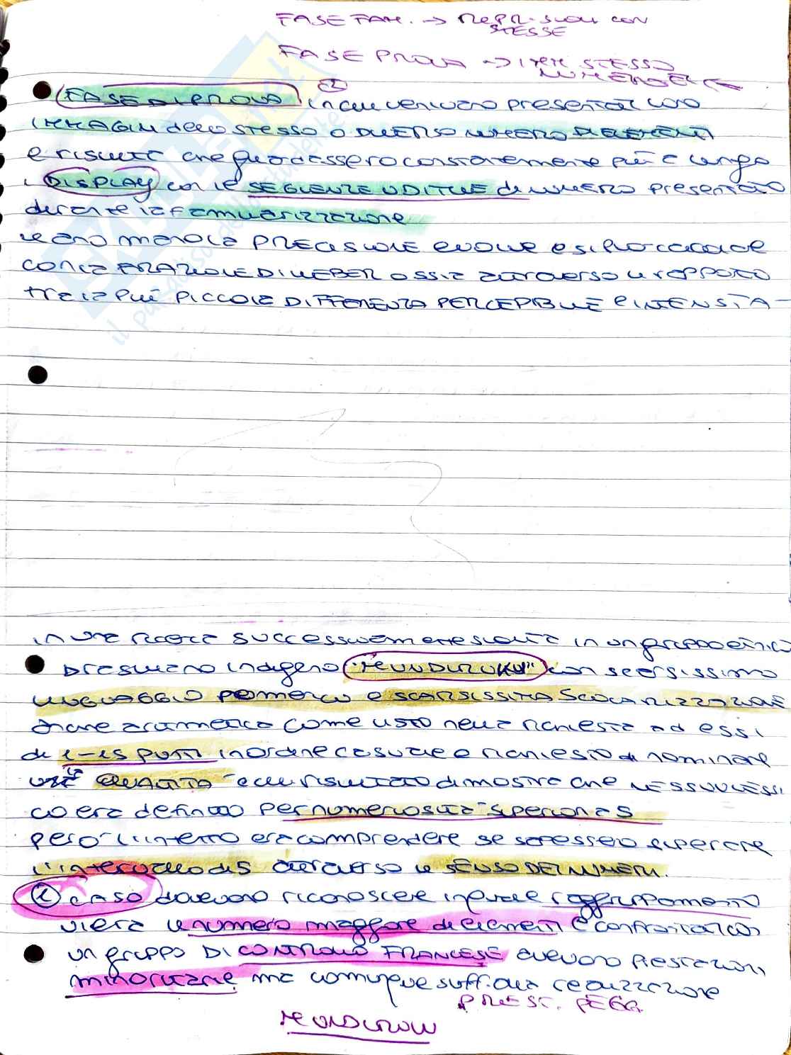 Psicologia dello sviluppo: percezione neonatale e Test Visual Paired-Comparison Pag. 6