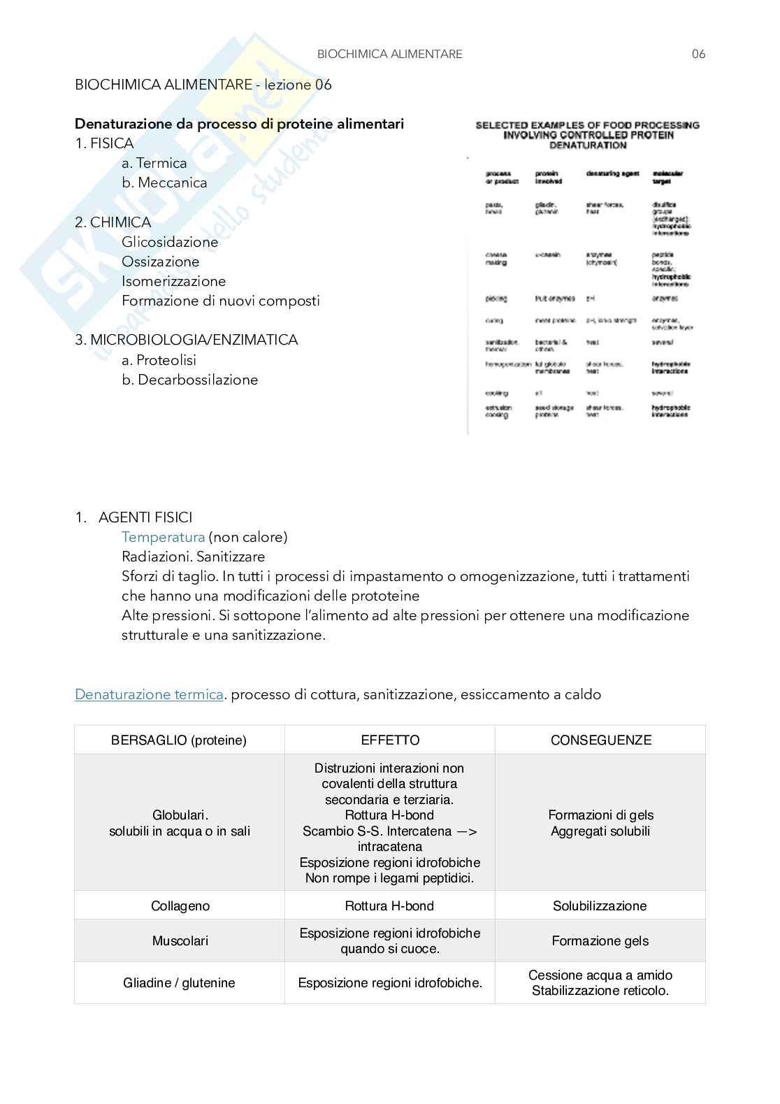 Appunti di Biochimica alimentare Pag. 26
