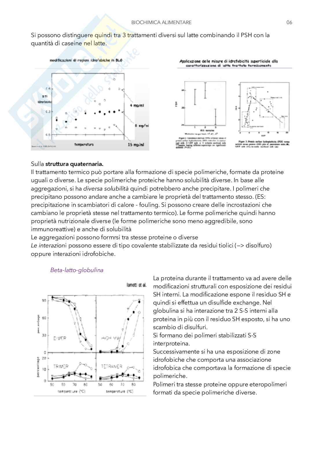 Appunti di Biochimica alimentare Pag. 31