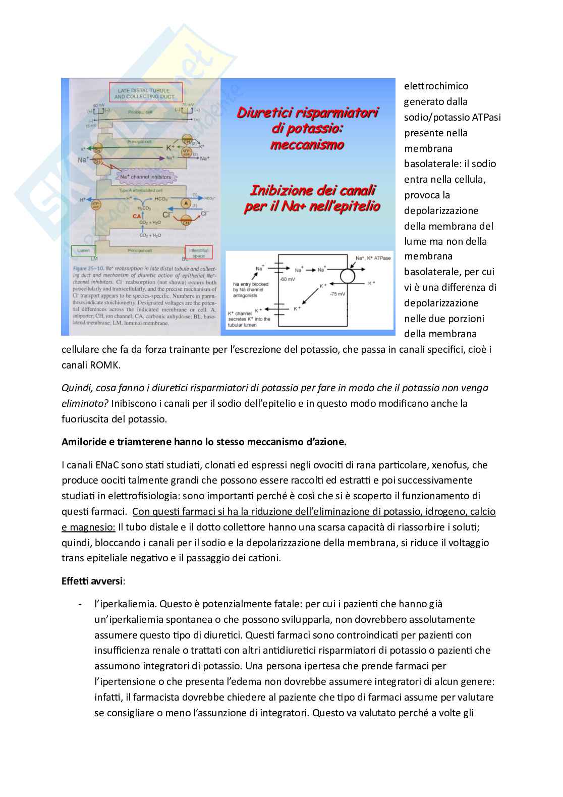  Esame di Farmacoterapia 1 - parte 7 Pag. 6