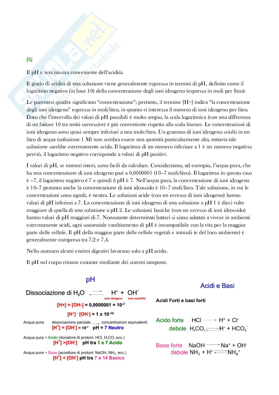 Riassunto esame Biologia, Prof. Di Mauro Ivan, libro consigliato Elementi di biologia , Solomon Pag. 21