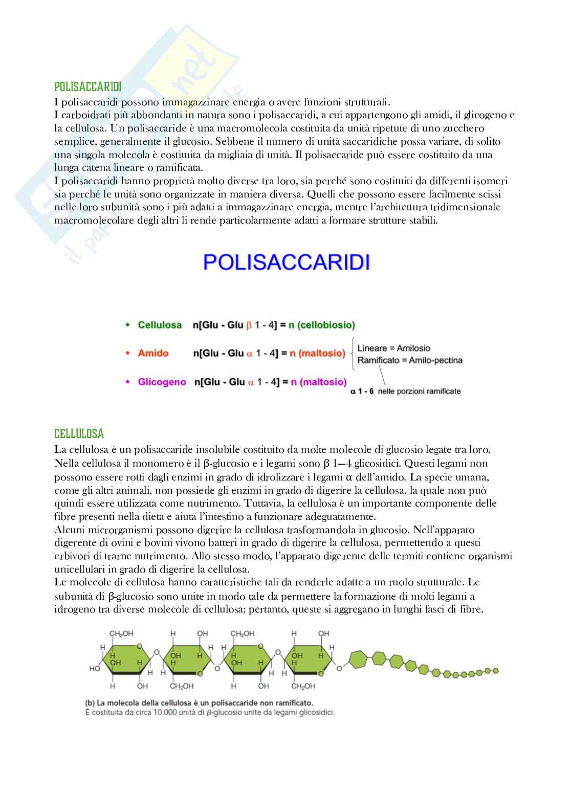Riassunto esame Biologia, Prof. Di Mauro Ivan, libro consigliato Elementi di biologia , Solomon Pag. 36