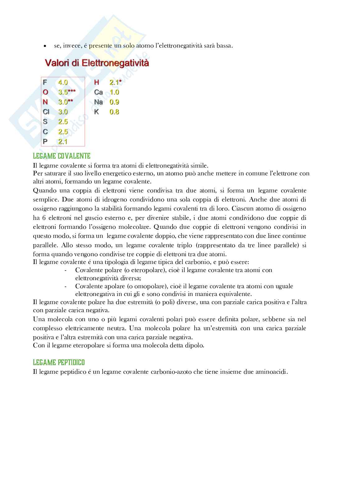 Riassunto esame Biologia, Prof. Di Mauro Ivan, libro consigliato Elementi di biologia , Solomon Pag. 6