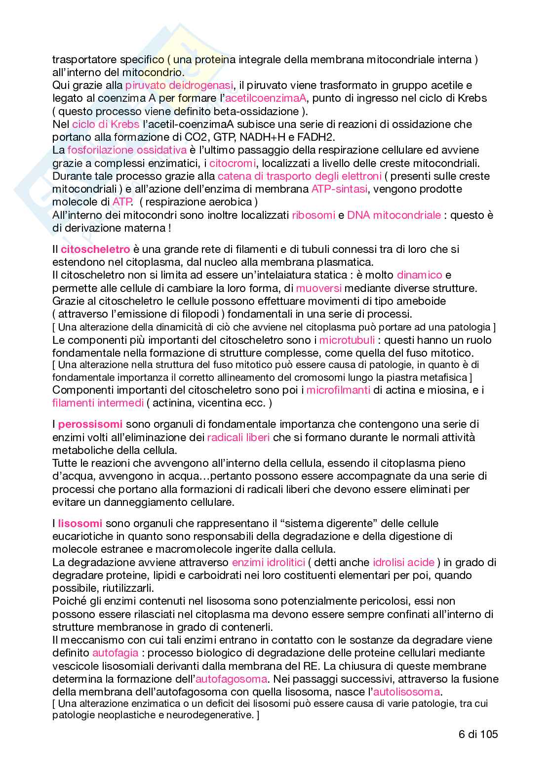Riassunto Patologia generale Pag. 6
