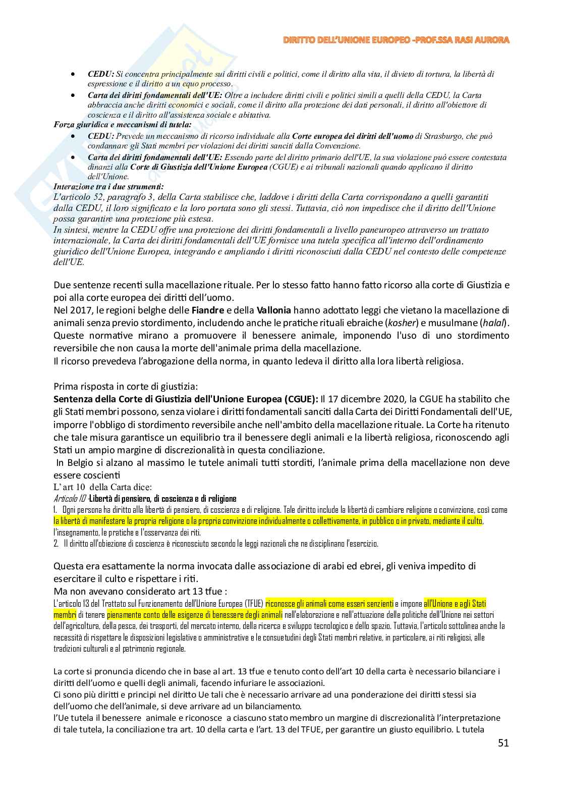 Appunti di Diritto dell'Unione Europea Pag. 51