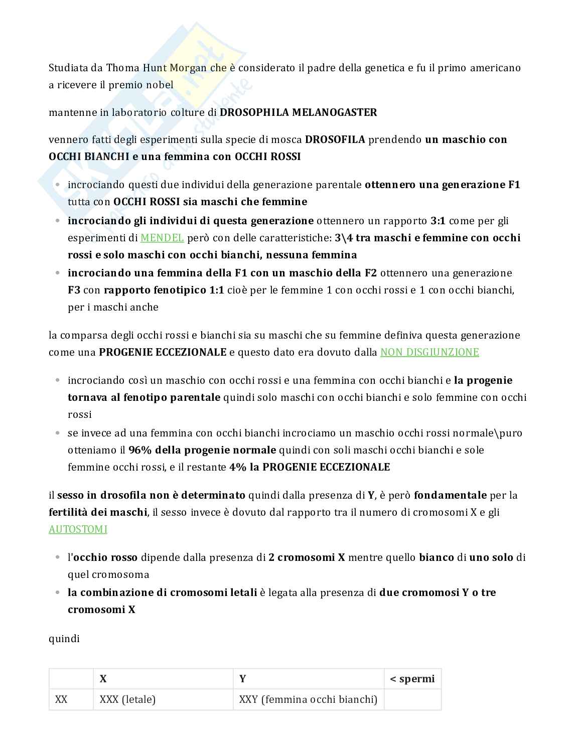 Testo su drosophila per esame Genetica Pag. 1