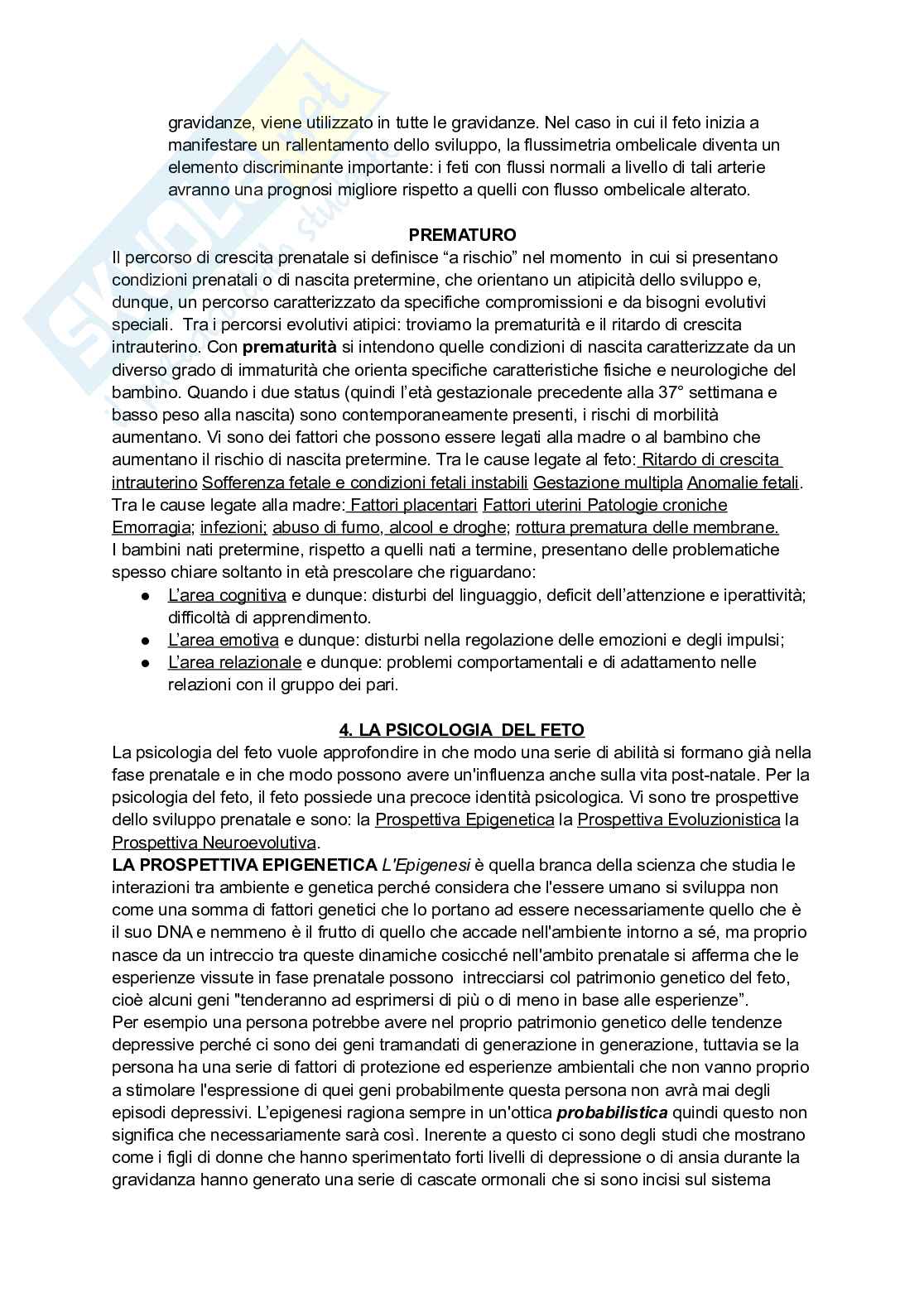 Psicologia dello sviluppo e dell'educazione Pag. 11