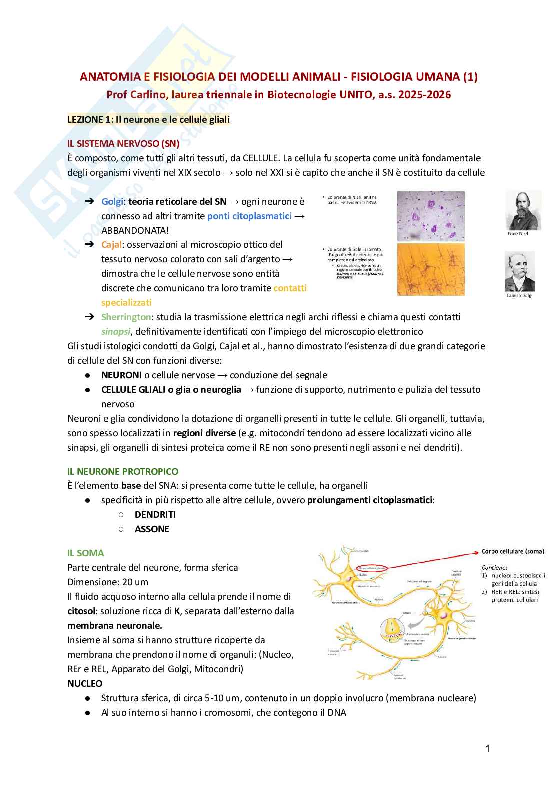 Fisiologia umana  Pag. 1