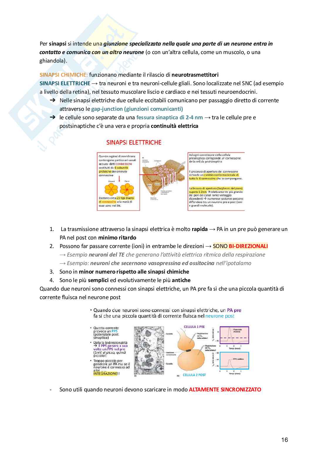 Fisiologia umana  Pag. 16